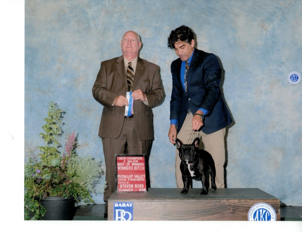 CH Flyboy's Chateau Margaux de Newcomb