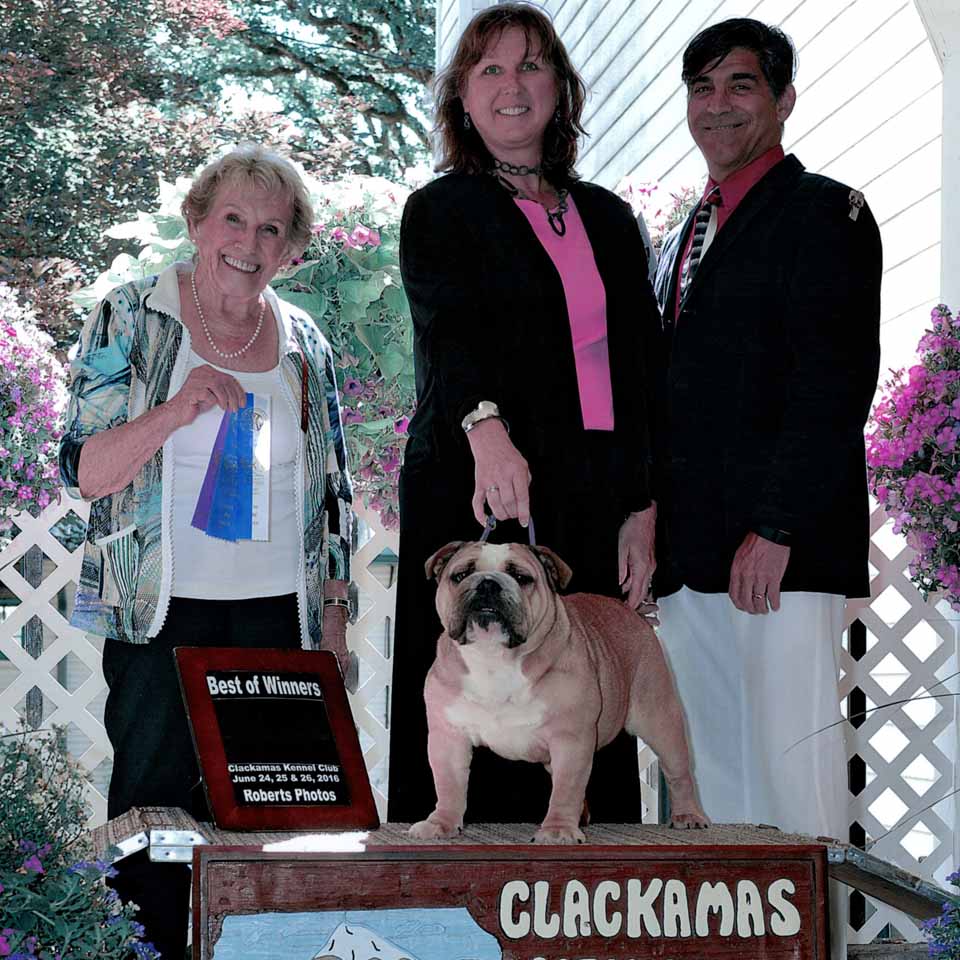 CH Lt Little Sumpin' Sumpin' Piper