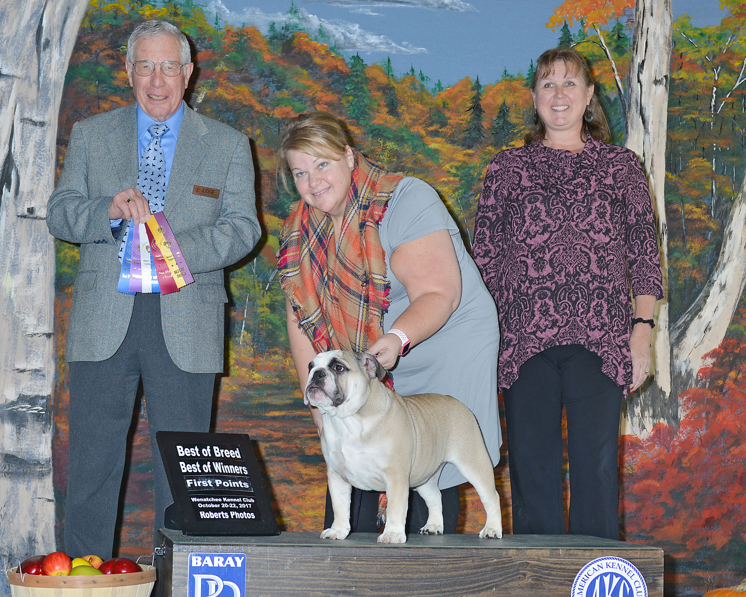 Flyboy's Sour Poppy Ale @ Langager's