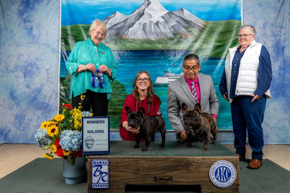 Fergus and Prudence - 5 Point Majors