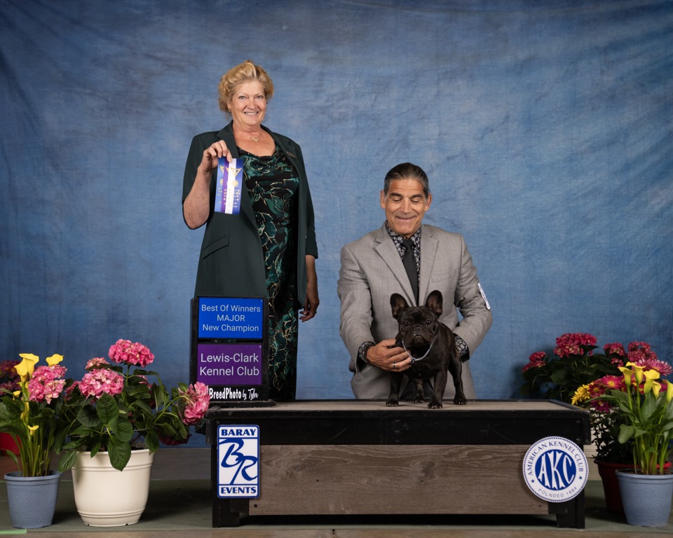 CH Flyboy's Lord Fergus of Galway