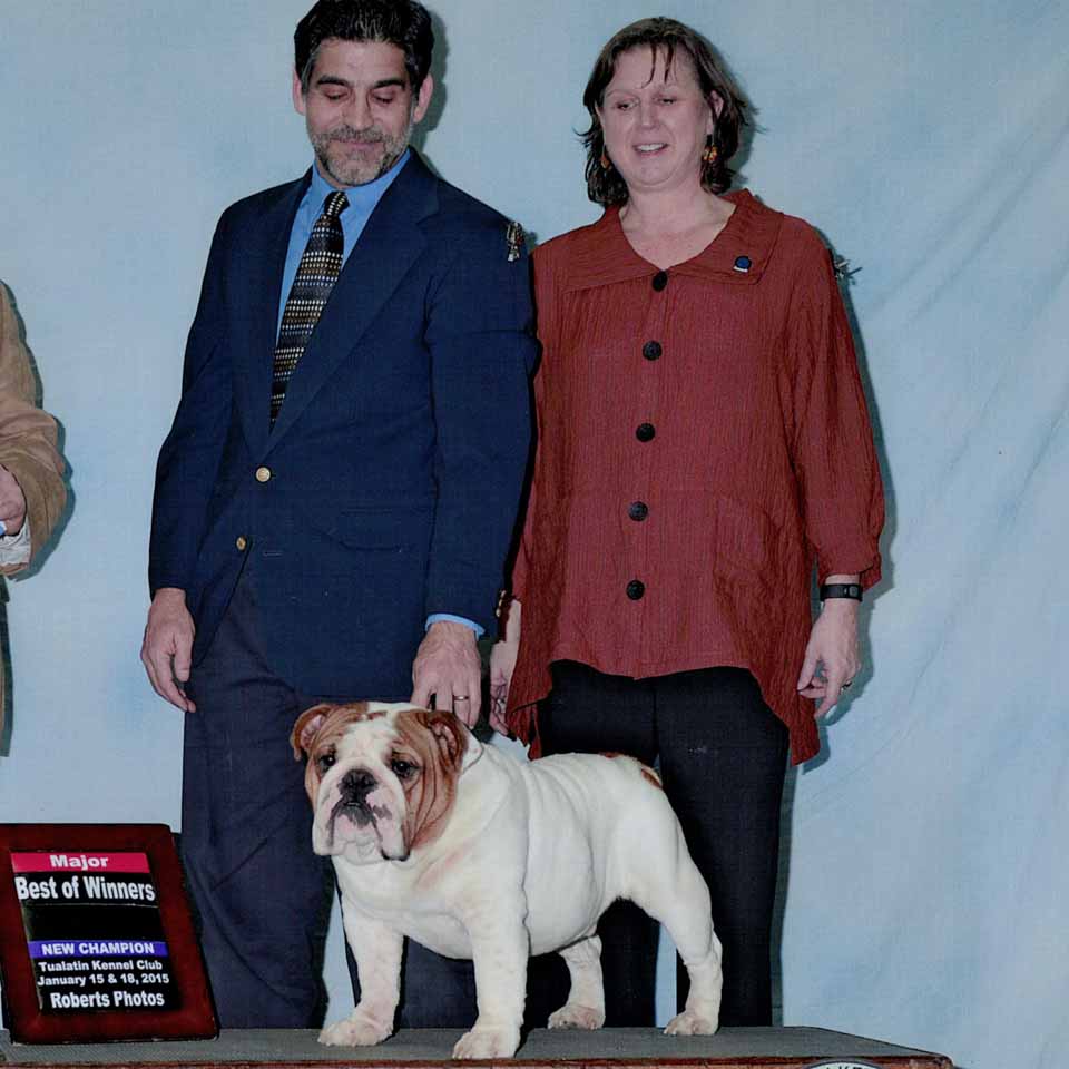 CH Flyboy's MSgt of Brugse Zot